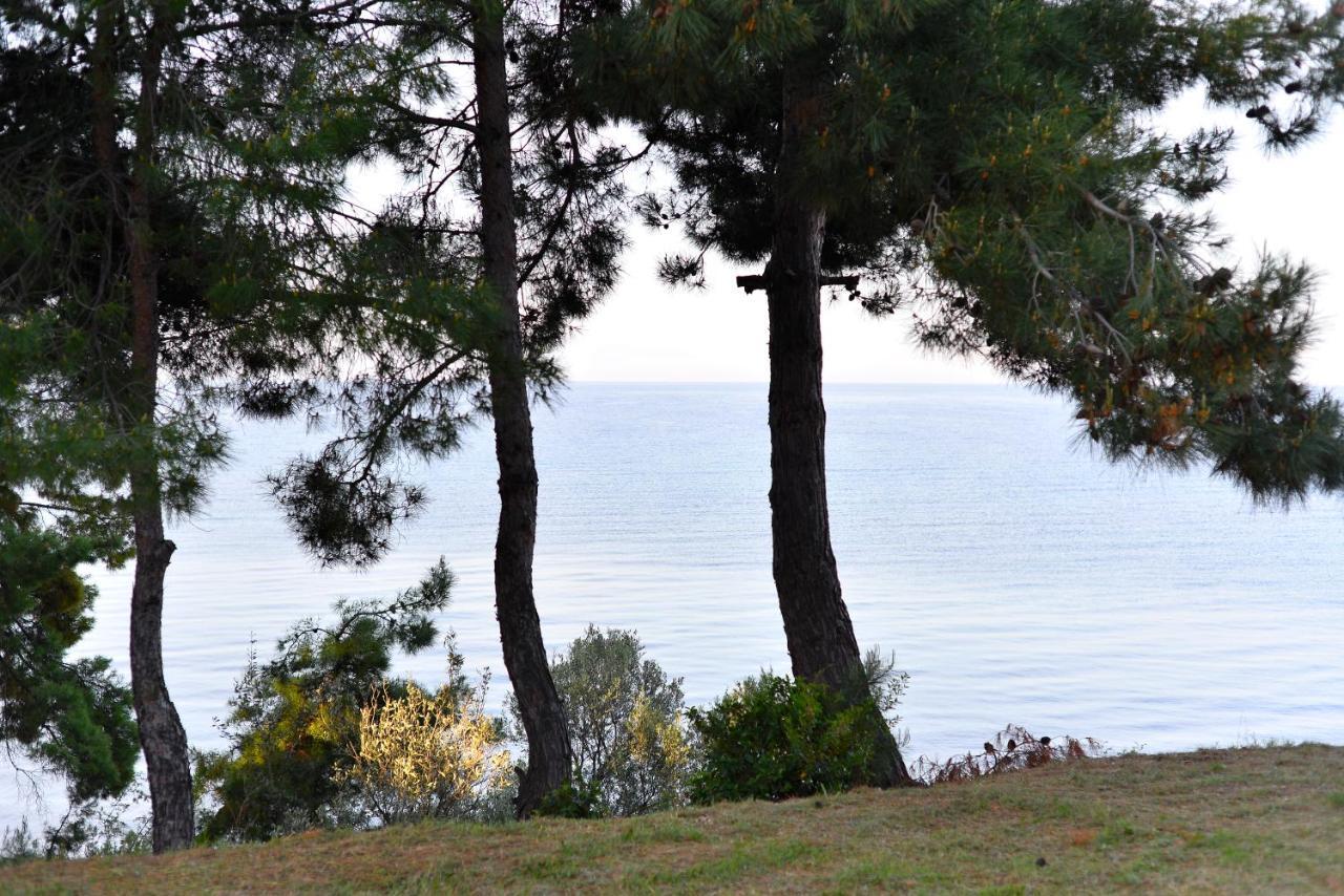 Summerday Villa Private Beach Nea Iraklia Exterior photo